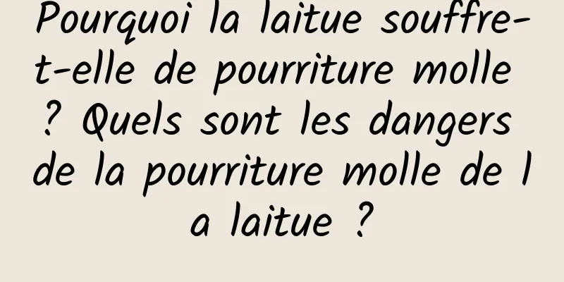 Pourquoi la laitue souffre-t-elle de pourriture molle ? Quels sont les dangers de la pourriture molle de la laitue ?