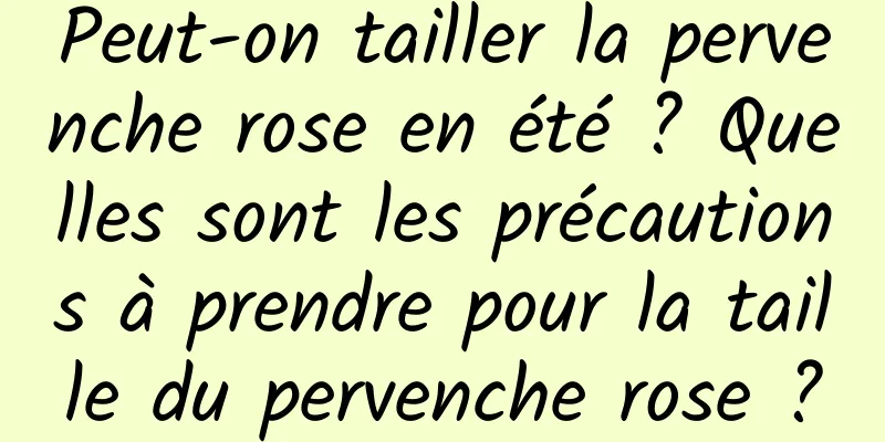 Peut-on tailler la pervenche rose en été ? Quelles sont les précautions à prendre pour la taille du pervenche rose ?