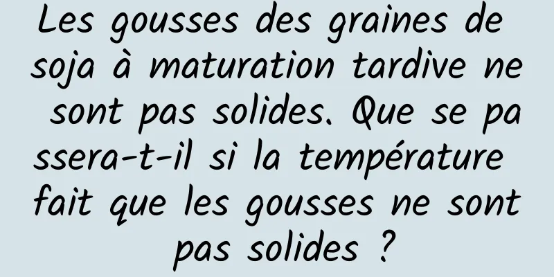 Les gousses des graines de soja à maturation tardive ne sont pas solides. Que se passera-t-il si la température fait que les gousses ne sont pas solides ?