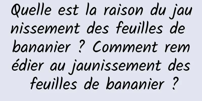 Quelle est la raison du jaunissement des feuilles de bananier ? Comment remédier au jaunissement des feuilles de bananier ?