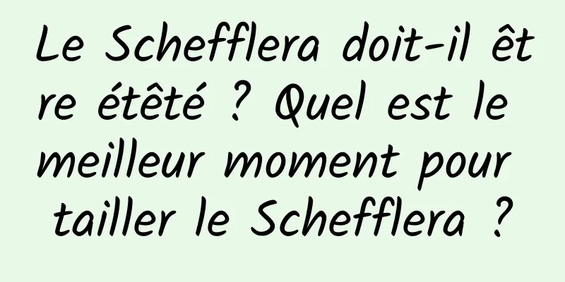 Le Schefflera doit-il être étêté ? Quel est le meilleur moment pour tailler le Schefflera ?