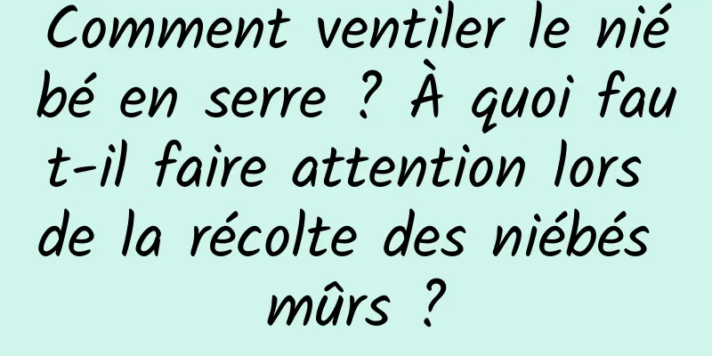 Comment ventiler le niébé en serre ? À quoi faut-il faire attention lors de la récolte des niébés mûrs ?