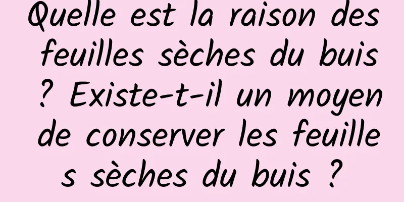 Quelle est la raison des feuilles sèches du buis ? Existe-t-il un moyen de conserver les feuilles sèches du buis ?