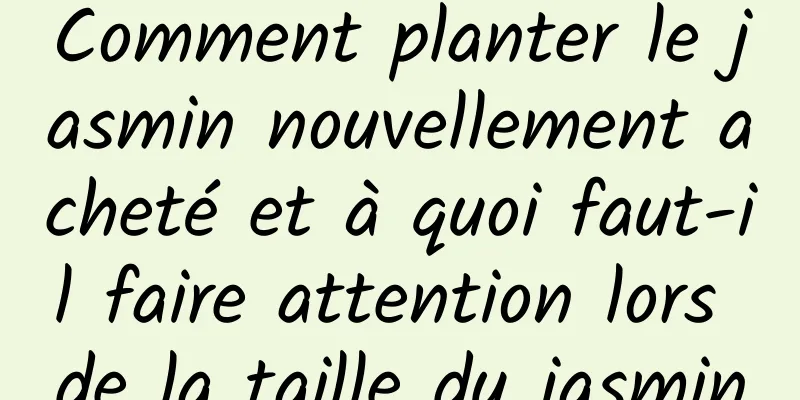 Comment planter le jasmin nouvellement acheté et à quoi faut-il faire attention lors de la taille du jasmin