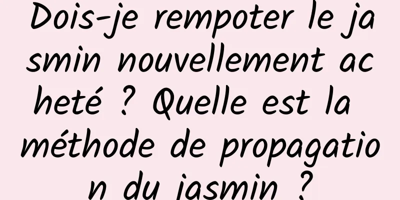 Dois-je rempoter le jasmin nouvellement acheté ? Quelle est la méthode de propagation du jasmin ?