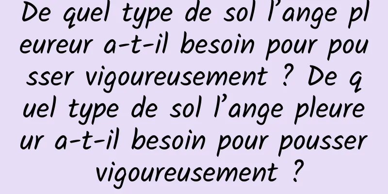 De quel type de sol l’ange pleureur a-t-il besoin pour pousser vigoureusement ? De quel type de sol l’ange pleureur a-t-il besoin pour pousser vigoureusement ?