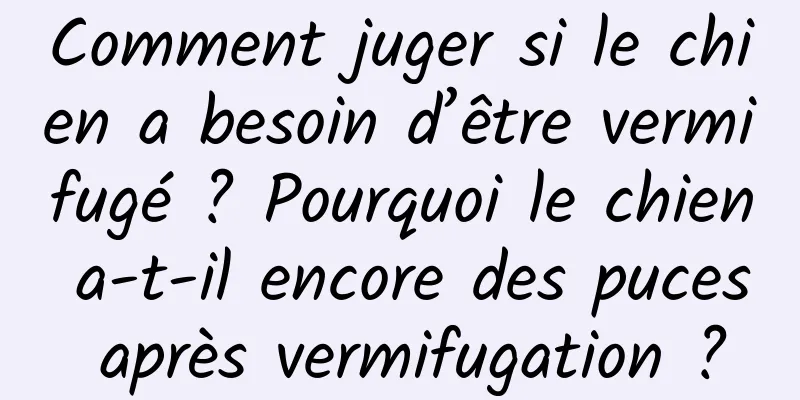 Comment juger si le chien a besoin d’être vermifugé ? Pourquoi le chien a-t-il encore des puces après vermifugation ?