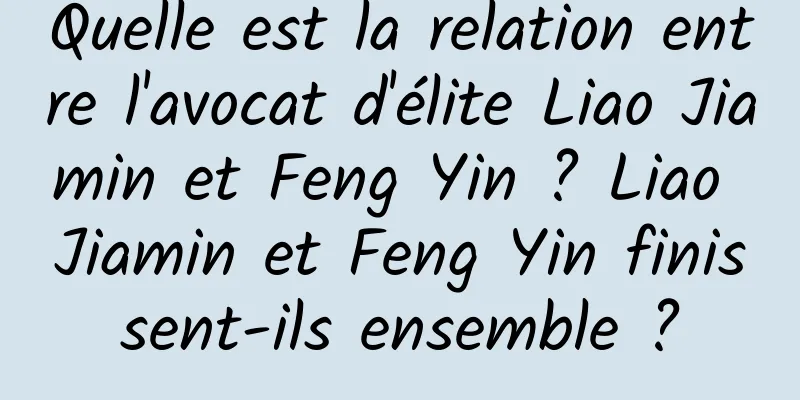 Quelle est la relation entre l'avocat d'élite Liao Jiamin et Feng Yin ? Liao Jiamin et Feng Yin finissent-ils ensemble ?