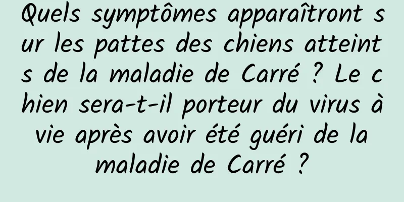 Quels symptômes apparaîtront sur les pattes des chiens atteints de la maladie de Carré ? Le chien sera-t-il porteur du virus à vie après avoir été guéri de la maladie de Carré ?