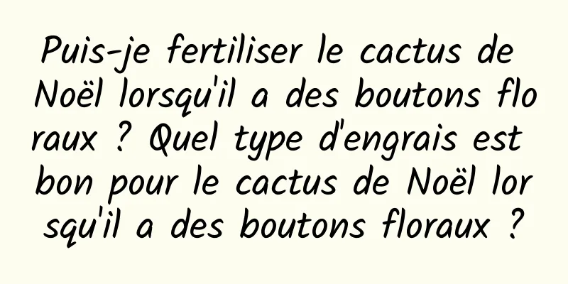 Puis-je fertiliser le cactus de Noël lorsqu'il a des boutons floraux ? Quel type d'engrais est bon pour le cactus de Noël lorsqu'il a des boutons floraux ?