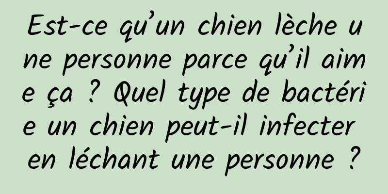 Est-ce qu’un chien lèche une personne parce qu’il aime ça ? Quel type de bactérie un chien peut-il infecter en léchant une personne ?