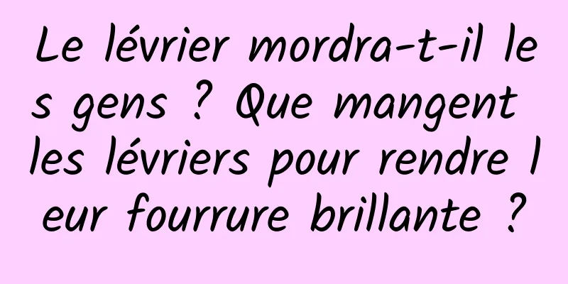 Le lévrier mordra-t-il les gens ? Que mangent les lévriers pour rendre leur fourrure brillante ?