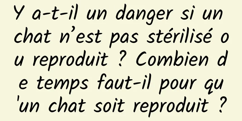 Y a-t-il un danger si un chat n’est pas stérilisé ou reproduit ? Combien de temps faut-il pour qu'un chat soit reproduit ?