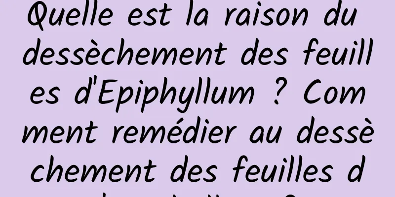 Quelle est la raison du dessèchement des feuilles d'Epiphyllum ? Comment remédier au dessèchement des feuilles d'Epiphyllum ?