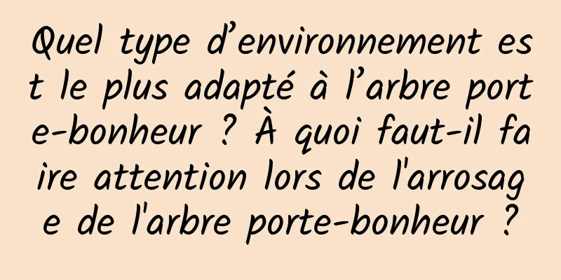 Quel type d’environnement est le plus adapté à l’arbre porte-bonheur ? À quoi faut-il faire attention lors de l'arrosage de l'arbre porte-bonheur ?