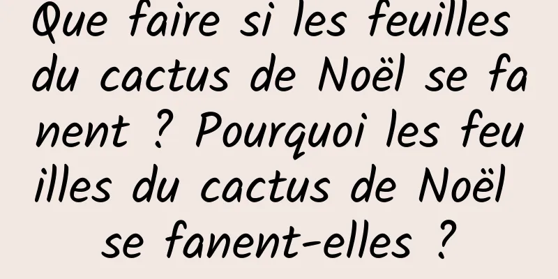 Que faire si les feuilles du cactus de Noël se fanent ? Pourquoi les feuilles du cactus de Noël se fanent-elles ?