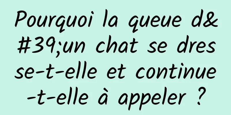 Pourquoi la queue d'un chat se dresse-t-elle et continue-t-elle à appeler ?