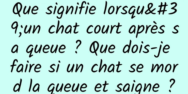 Que signifie lorsqu'un chat court après sa queue ? Que dois-je faire si un chat se mord la queue et saigne ?