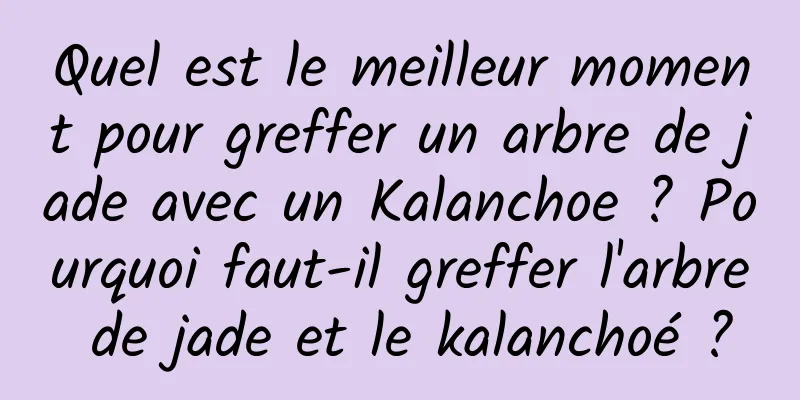 Quel est le meilleur moment pour greffer un arbre de jade avec un Kalanchoe ? Pourquoi faut-il greffer l'arbre de jade et le kalanchoé ?