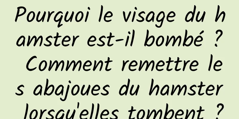 Pourquoi le visage du hamster est-il bombé ? Comment remettre les abajoues du hamster lorsqu'elles tombent ?