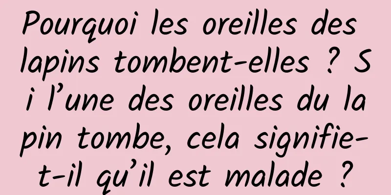Pourquoi les oreilles des lapins tombent-elles ? Si l’une des oreilles du lapin tombe, cela signifie-t-il qu’il est malade ?
