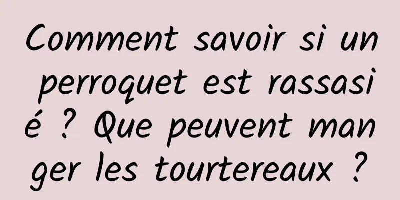 Comment savoir si un perroquet est rassasié ? Que peuvent manger les tourtereaux ?