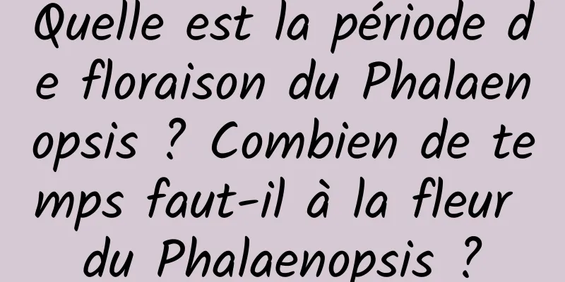 Quelle est la période de floraison du Phalaenopsis ? Combien de temps faut-il à la fleur du Phalaenopsis ?
