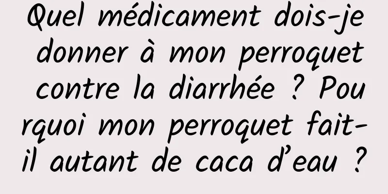 Quel médicament dois-je donner à mon perroquet contre la diarrhée ? Pourquoi mon perroquet fait-il autant de caca d’eau ?