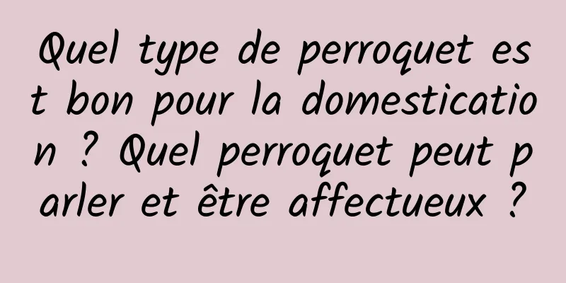 Quel type de perroquet est bon pour la domestication ? Quel perroquet peut parler et être affectueux ?