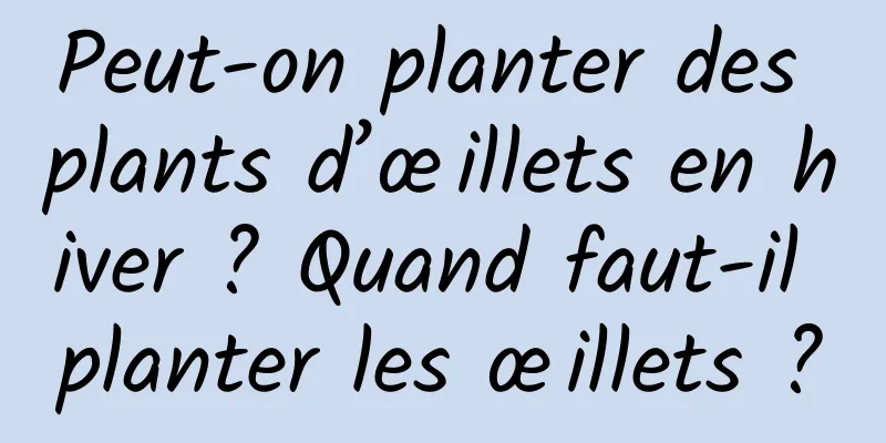 Peut-on planter des plants d’œillets en hiver ? Quand faut-il planter les œillets ?