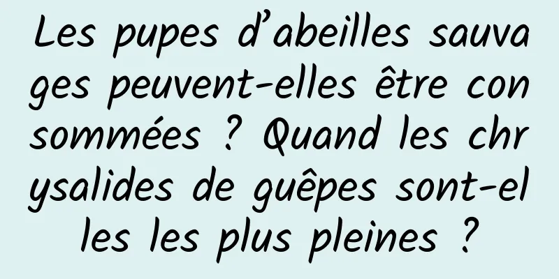 Les pupes d’abeilles sauvages peuvent-elles être consommées ? Quand les chrysalides de guêpes sont-elles les plus pleines ?