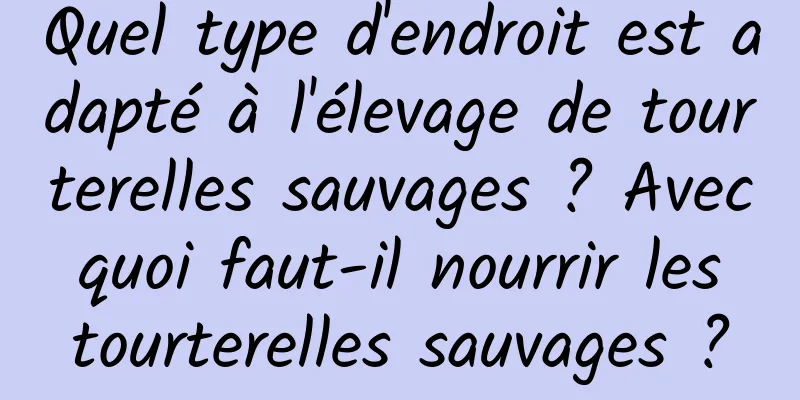 Quel type d'endroit est adapté à l'élevage de tourterelles sauvages ? Avec quoi faut-il nourrir les tourterelles sauvages ?