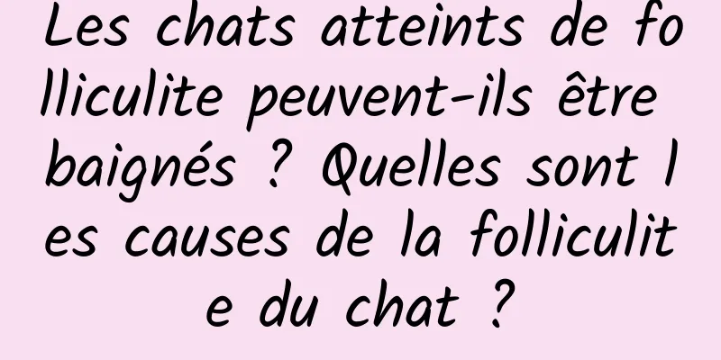 Les chats atteints de folliculite peuvent-ils être baignés ? Quelles sont les causes de la folliculite du chat ?