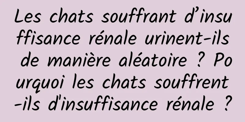 Les chats souffrant d’insuffisance rénale urinent-ils de manière aléatoire ? Pourquoi les chats souffrent-ils d'insuffisance rénale ?