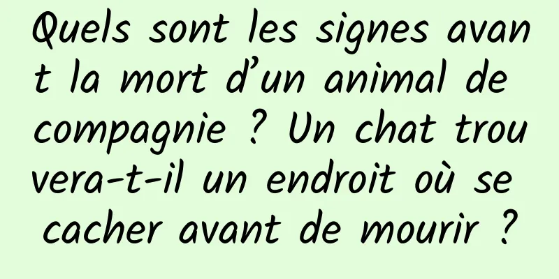 Quels sont les signes avant la mort d’un animal de compagnie ? Un chat trouvera-t-il un endroit où se cacher avant de mourir ?