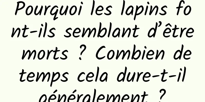Pourquoi les lapins font-ils semblant d’être morts ? Combien de temps cela dure-t-il généralement ?