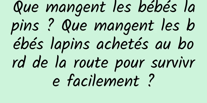 Que mangent les bébés lapins ? Que mangent les bébés lapins achetés au bord de la route pour survivre facilement ?