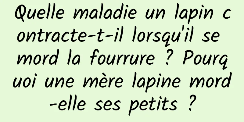 Quelle maladie un lapin contracte-t-il lorsqu'il se mord la fourrure ? Pourquoi une mère lapine mord-elle ses petits ?