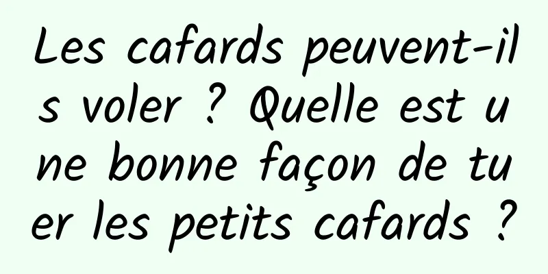 Les cafards peuvent-ils voler ? Quelle est une bonne façon de tuer les petits cafards ?