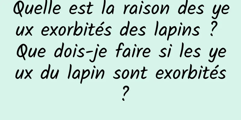 Quelle est la raison des yeux exorbités des lapins ? Que dois-je faire si les yeux du lapin sont exorbités ?