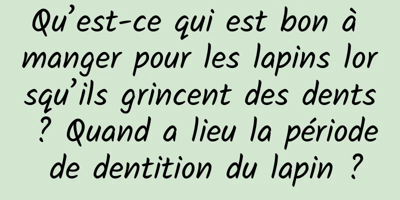 Qu’est-ce qui est bon à manger pour les lapins lorsqu’ils grincent des dents ? Quand a lieu la période de dentition du lapin ?