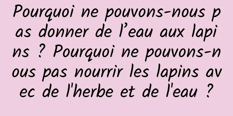 Pourquoi ne pouvons-nous pas donner de l’eau aux lapins ? Pourquoi ne pouvons-nous pas nourrir les lapins avec de l'herbe et de l'eau ?