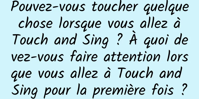 Pouvez-vous toucher quelque chose lorsque vous allez à Touch and Sing ? À quoi devez-vous faire attention lorsque vous allez à Touch and Sing pour la première fois ?