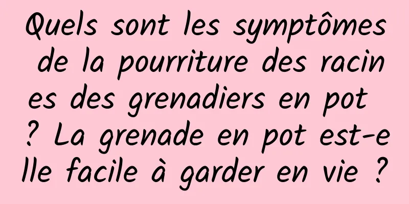 Quels sont les symptômes de la pourriture des racines des grenadiers en pot ? La grenade en pot est-elle facile à garder en vie ?