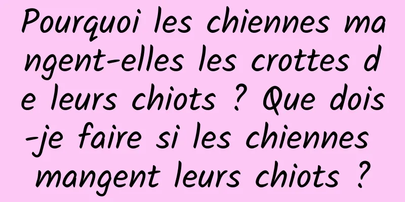 Pourquoi les chiennes mangent-elles les crottes de leurs chiots ? Que dois-je faire si les chiennes mangent leurs chiots ?