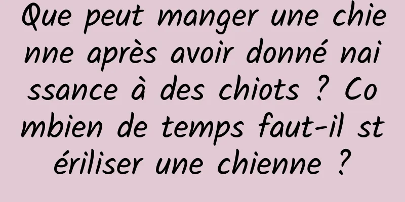 Que peut manger une chienne après avoir donné naissance à des chiots ? Combien de temps faut-il stériliser une chienne ?
