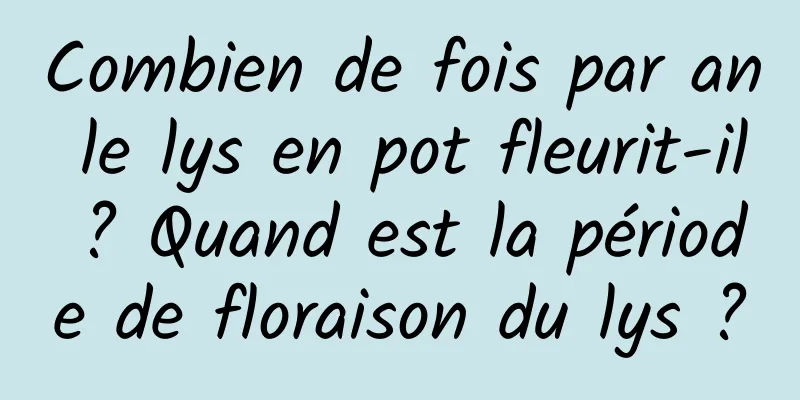 Combien de fois par an le lys en pot fleurit-il ? Quand est la période de floraison du lys ?