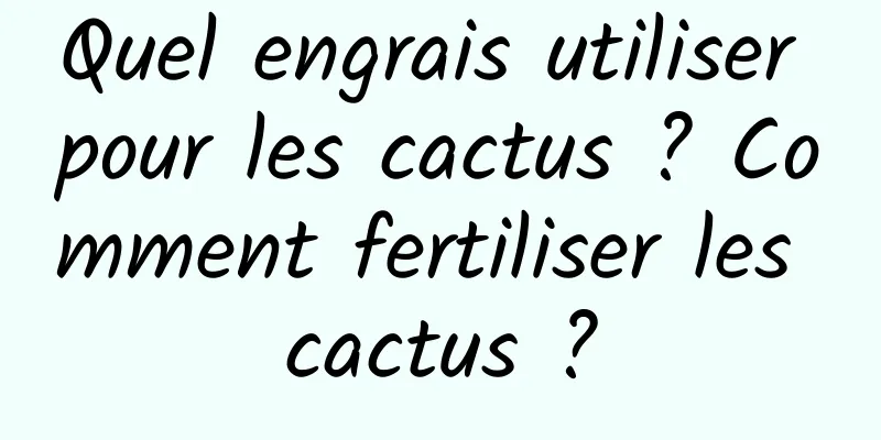 Quel engrais utiliser pour les cactus ? Comment fertiliser les cactus ?