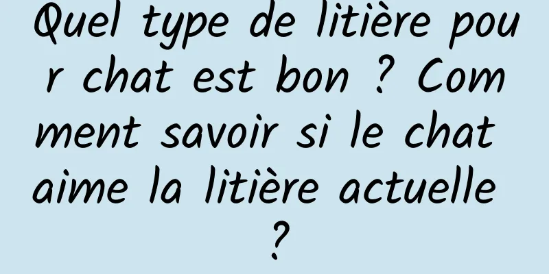 Quel type de litière pour chat est bon ? Comment savoir si le chat aime la litière actuelle ?