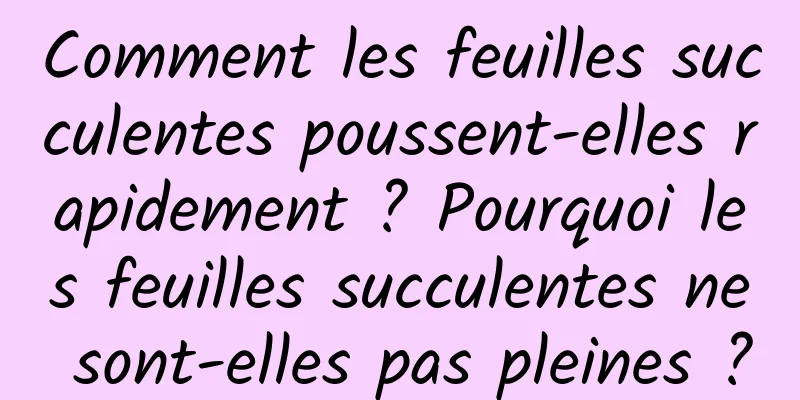 Comment les feuilles succulentes poussent-elles rapidement ? Pourquoi les feuilles succulentes ne sont-elles pas pleines ?
